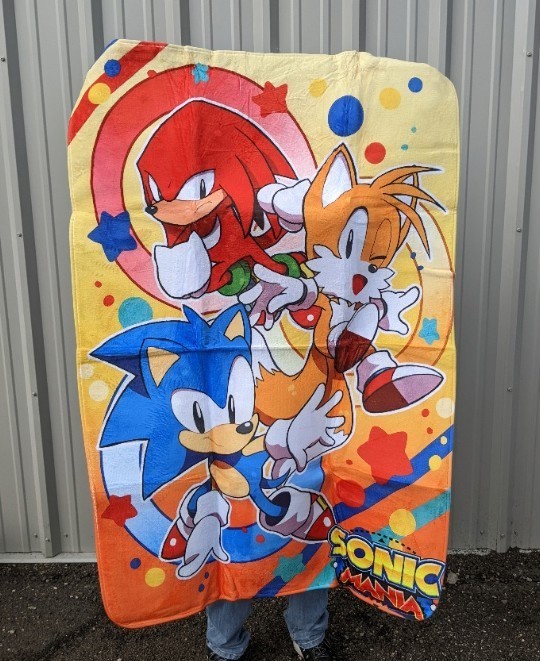 lot 52E image: Sonic Mania 39 x 60 Area Rug - Brand New