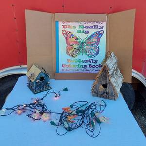 lot 34 image: Bird Houses, Large Butterfly Coloring Book, Butterfly Lights