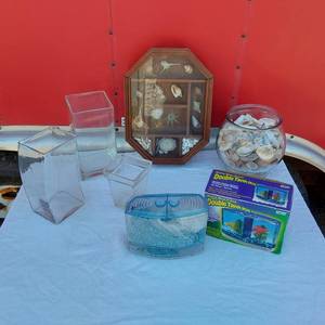 lot 110 image: Unique Glass Vases, Shell Collection in Cabinet, Betta Double Tank, Glass Fish Bowl of Shells