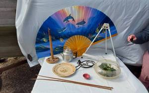 lot 359 image: Dolphin Decor Fan, Vintage Plate, Drumsticks, and Other Decorative Items