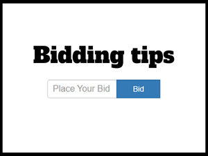 lot 1D image: Bidding Tips