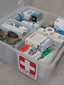 lot 160 image: Comprehensive First Aid Kit