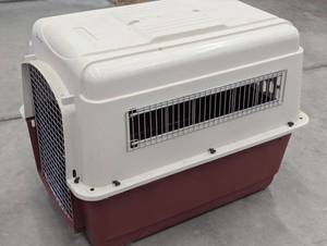 lot 166 image: Plastic Pet Carrier with Metal Grate Door