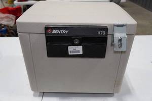 lot 196 image: Sentry Safe Box