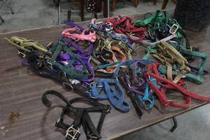 lot 257 image: Assorted MiniatureFoal Halters