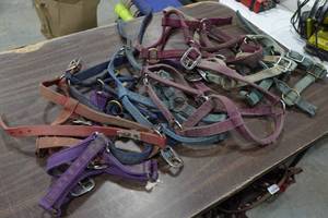 lot 265 image: Assorted Halters