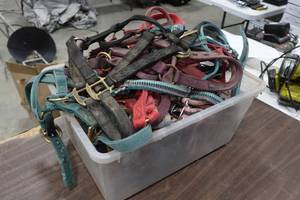 lot 266 image: Assorted Halters