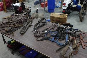 lot 269 image: Assorted Halters and Bridles