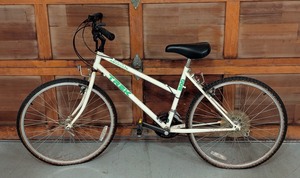 lot 245 image: G - Trek 800 Antelope Mountain Bike with Flat Tires