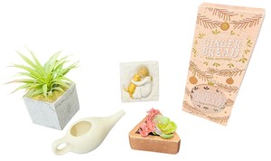 Office Desktop Home Decor Bundle
