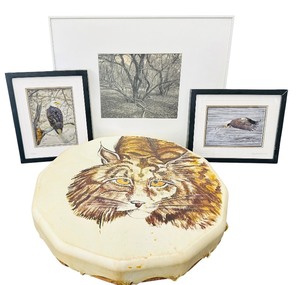 Hand Painted Drum  Bald Eagle Photo Bundle