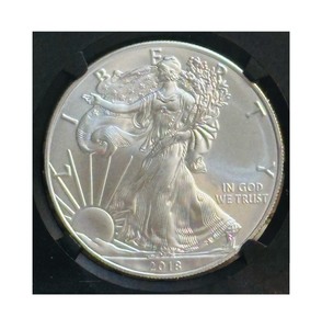 COIN NGC Certified 2018 Eagle S$1 MS 70  Certified 2018 American Silver Eagle coin graded MS 70 by the Numismatic Guaranty Corporation (NGC)