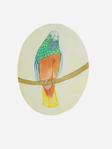 Vintage Jennifer Berringer Etching and Watercolor Parrot Print #115400  23 14 x 17 78 x 18 18  NO GLASS, THIN PLASTIC  SHEATH