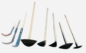 Traditional Agricultural Tools  Scythes, Sickles, Hoes, Utilities, Hmong Gardening Tools