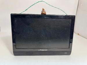 lot 10 image: Polaroid Screen