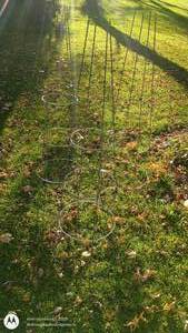 lot 23 image: Set of 4 Metal Tomato Cages for Garden Support