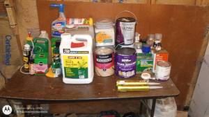 lot 76 image: Assorted Household Chemicals, Paints, and Sprays Collection