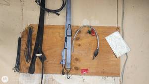 lot 145 image: Assorted Automotive Tie Downs and Bungee Cords