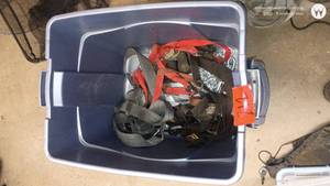 lot 212 image: Bin of Assorted Tie Down Straps and Bungie Cords