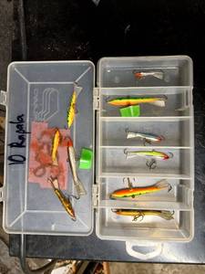 lot 235 image: Box of 10 Rapala Fishing Lures Assorted Colors and Styles