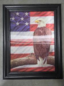 lot 207 image: 3D American Eagle Picture