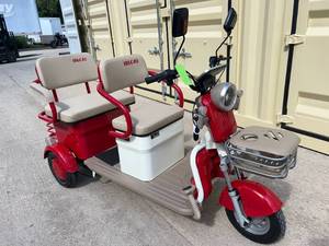 lot 3140 image: 2025 SDLANCH Electric Tricycle Mini Golf Cart (IRGC40) - Red