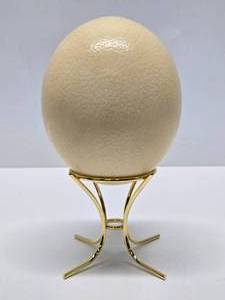 lot 155 image: Large Hollow Genuine Ostrich Egg wBrass Stand