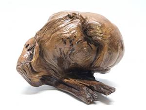 lot 180 image: Chunk of Burled Driftwood