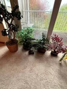 lot 101 image: Artificial Bonsai and Floral Dcor Collection