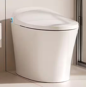 lot 62 image: ONE-PIECE 11.27 GPF HIGH EFFICIENCY Toilet