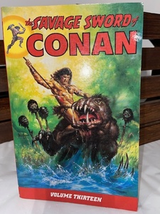 lot 14 image: The Savage Sword of Conan Volume Thirteen Graphic Novel