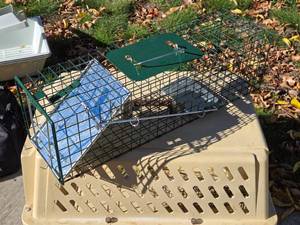 lot 413 image: Live Animal Trap
