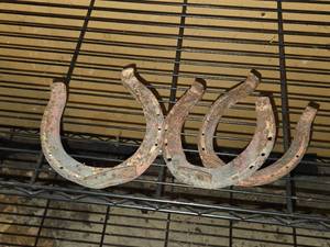 lot 559 image: Lot of (3) Horse Shoes