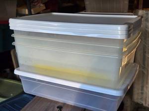 lot 628 image: Lot of (4) Plastic Storage Totes (3) 23x16x6, (1) 23x16x5