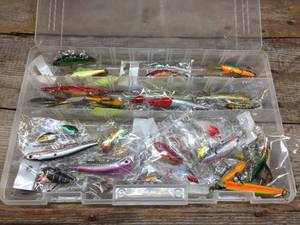 lot 129 image: PLANO Box with 40 Lures Including RAPALA