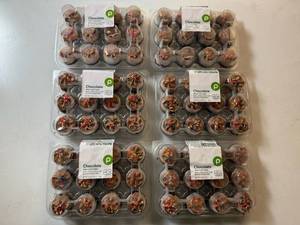 lot 152 image: CC. 6x 12ct Frozen Chocolate Mini Cupcakes-Best By 12232025