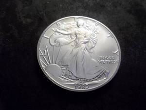 1989 Silver Eagle One Oz. Fine MS+++++++/++