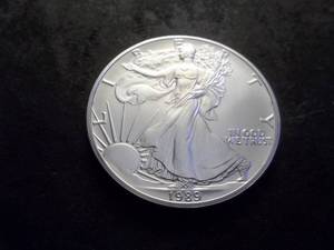 lot 29 image: 1989 Silver Eagle One Oz. Fine MS