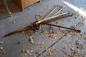 lot 229 image: Walking Stick and Canes