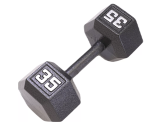 lot 216 image: Fitness Gear Cast Hex Dumbbell- Single 35lbs.