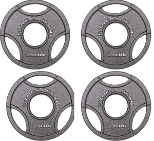 lot 171 image: Fitness Gear Olympic Cast Plate Pack Of 4