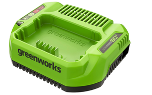 lot 284 image: Greenworks Pro 60V 3A Standard Charger