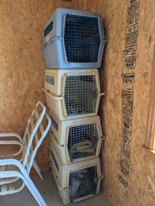 lot 16 image: Set of 4 Large Vari-Kennel Pet Crates with Bedding and Accessories