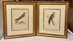 lot 14D image: DR - Pair of Antique Hand-Colored Bird Engravings Montagus Harrier and Kite Framed