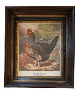 lot 314R image: FR - Dorking Hen Print by JW Ludlow