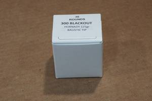 lot 278 image: 30 .300 Blackout 125 Gr Hornady Ballistic Tip Ammo