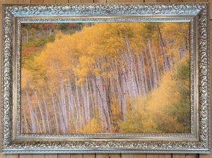 lot 161 image: Framed Autumn Birch Forest Landscape Reproduction on Canvas Painting