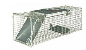 lot 14 image: LITTLE GIANT LIVE TRAP Medium Single Door  8X10X24
