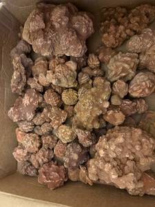 lot 76 image: Collection of Oklahoma Rose Rocks in Box