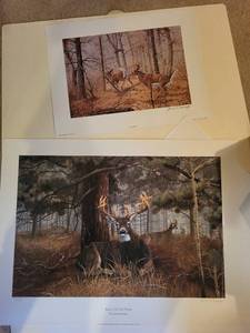 lot 124 image: Set of 2 James Kennedy Wildlife Art Prints - Signed Deer Scenes